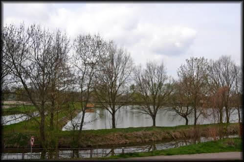 Penzion U Kohoutka Pardubice Bagian luar foto